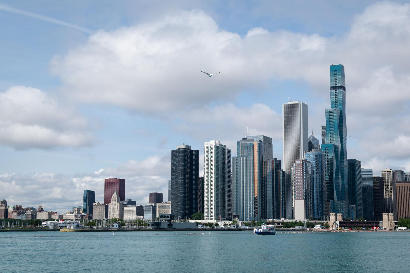 A view of the Chicago Skyline from the Navy Pier